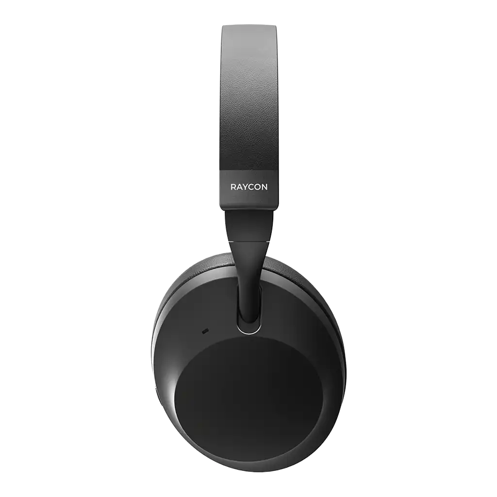 rayconaudious.it.com