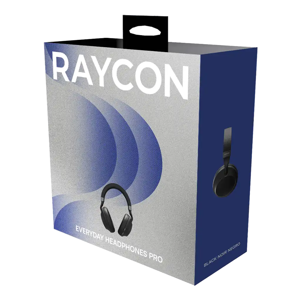 rayconaudious.it.com