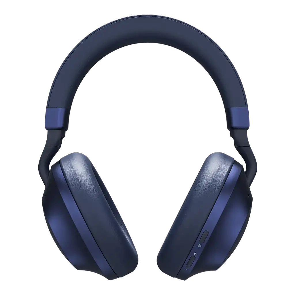 rayconaudious.it.com