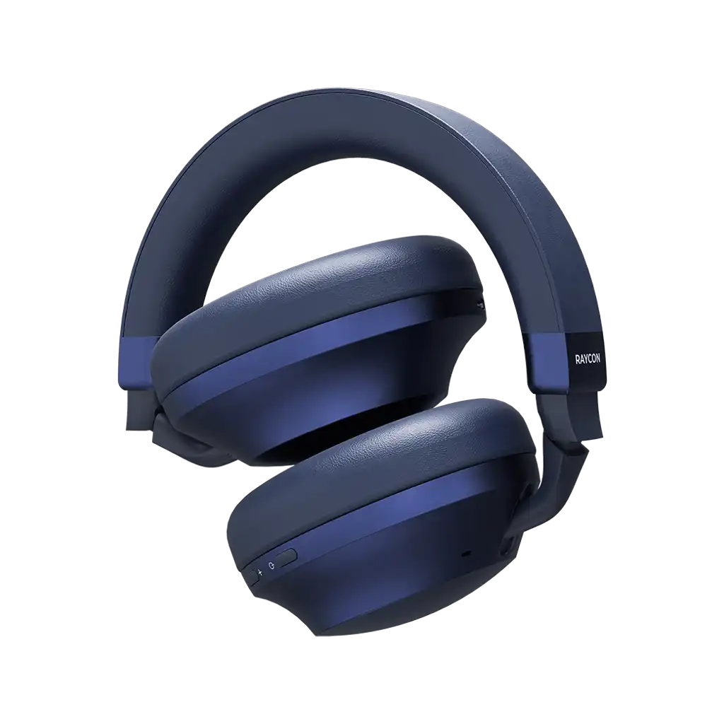 rayconaudious.it.com