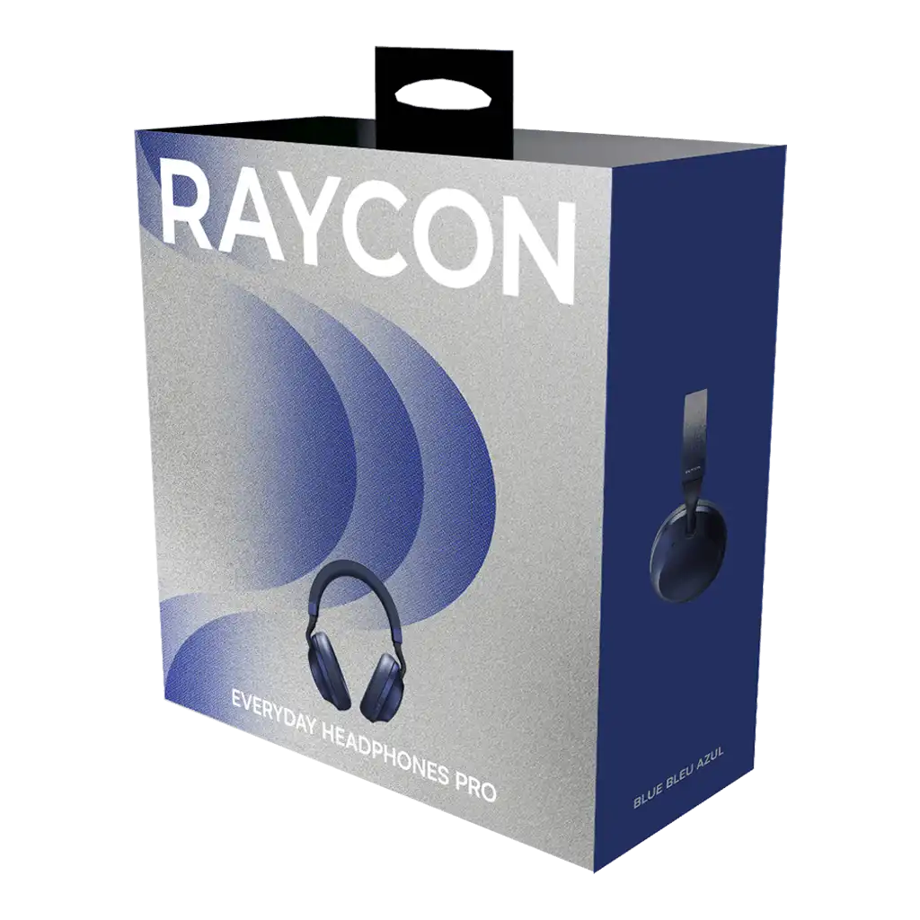 rayconaudious.it.com