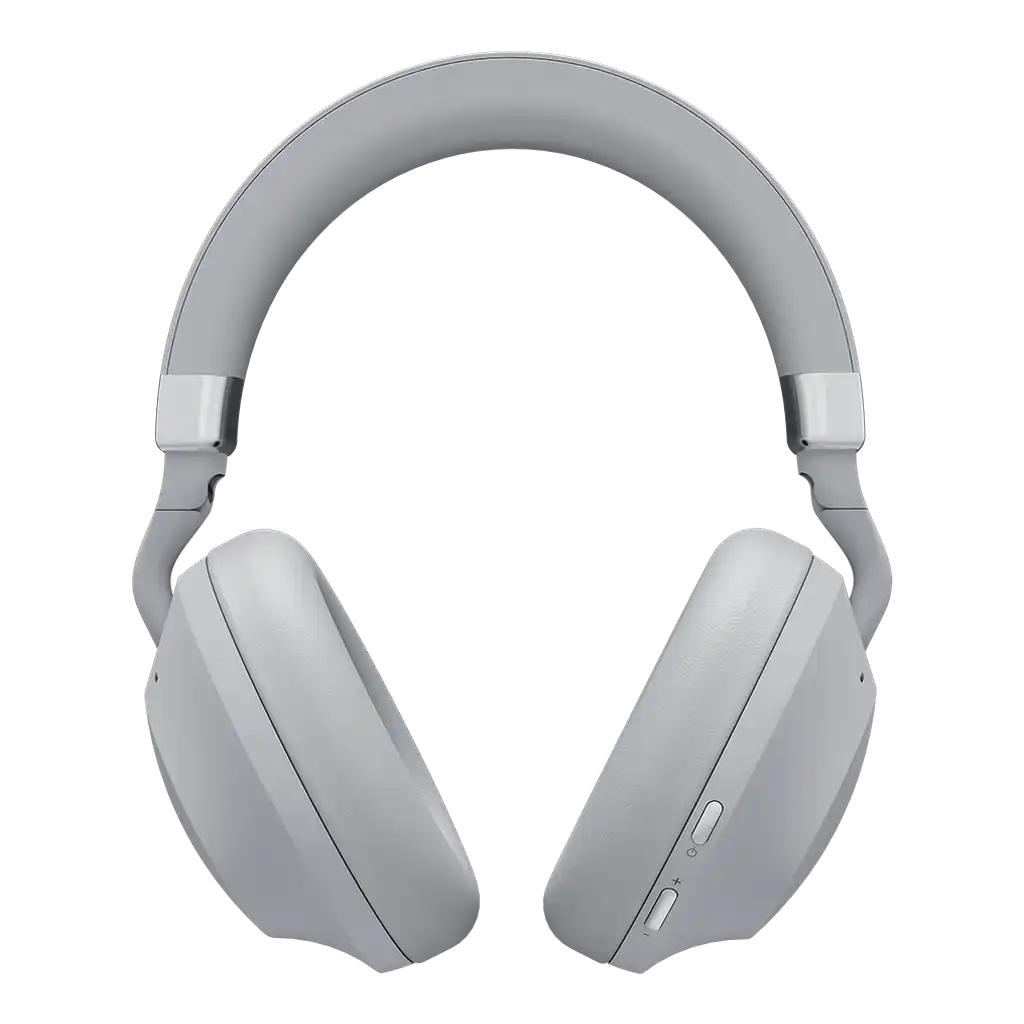 rayconaudious.it.com
