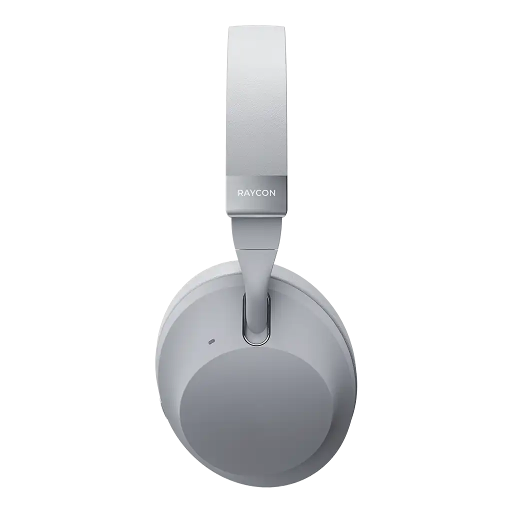 rayconaudious.it.com