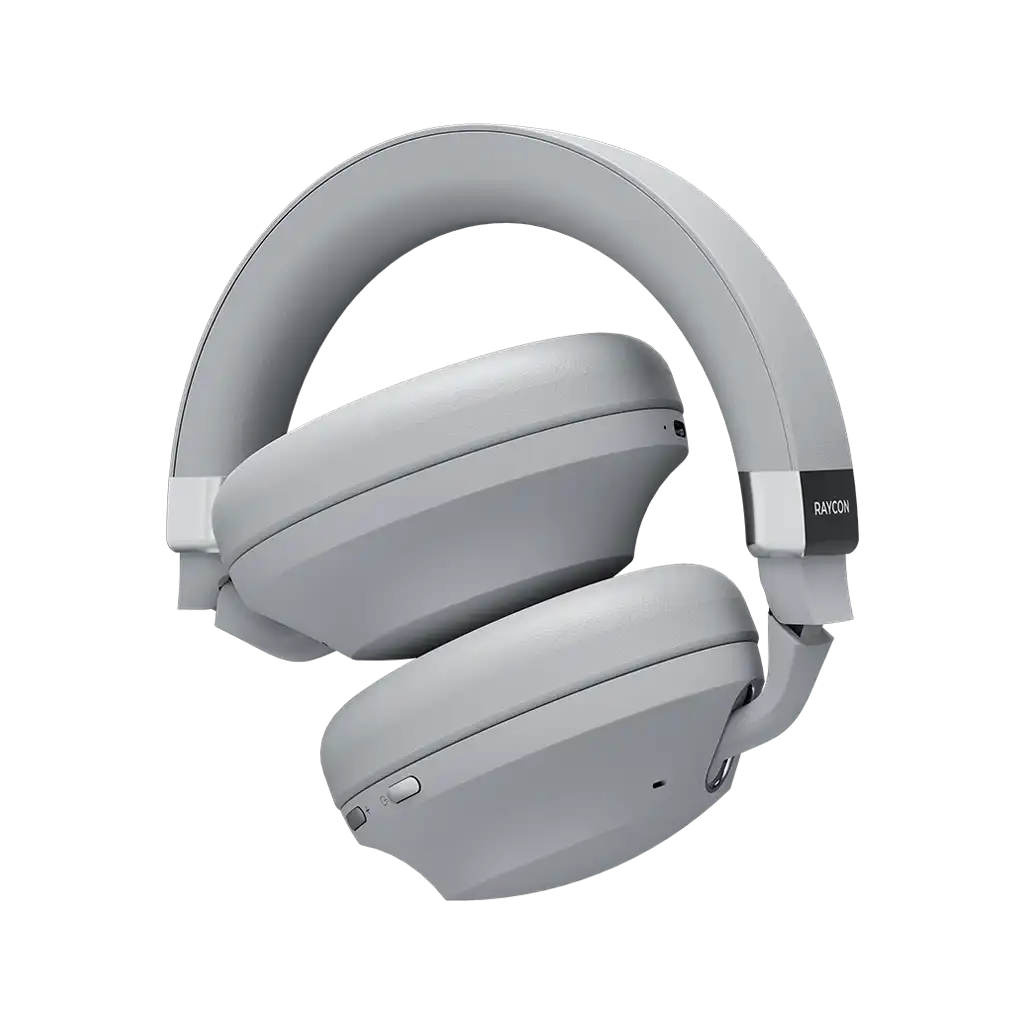 rayconaudious.it.com