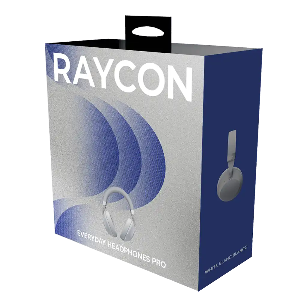 rayconaudious.it.com