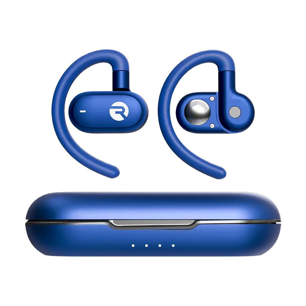 rayconaudious.it.com
