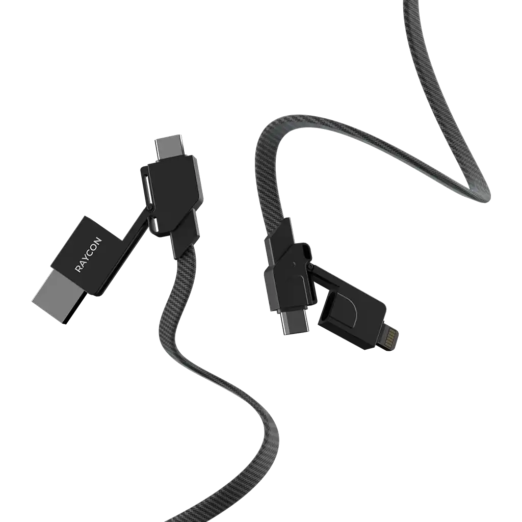 rayconaudious.it.com
