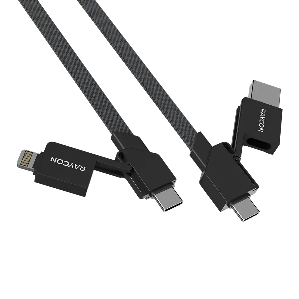 rayconaudious.it.com