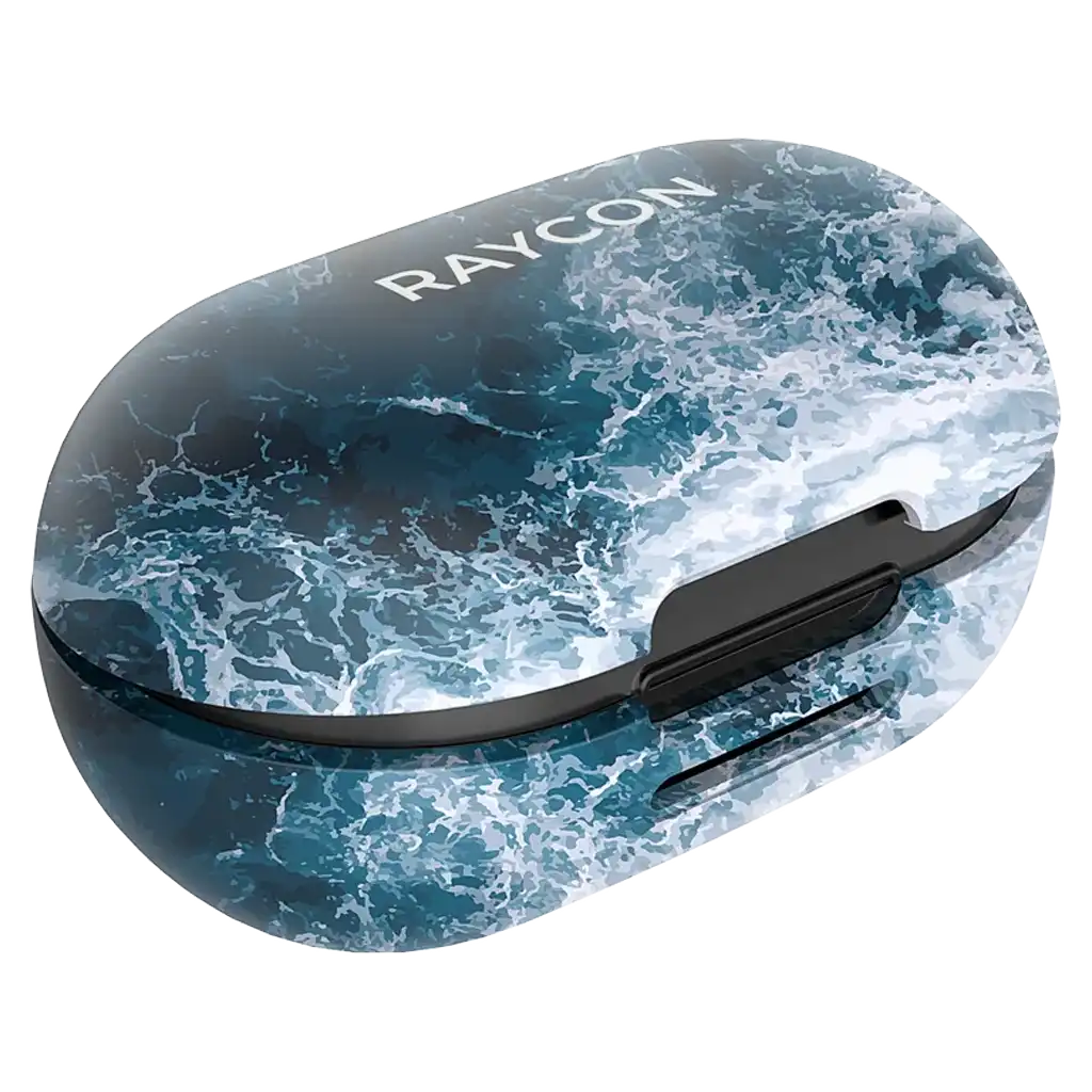 rayconaudious.it.com