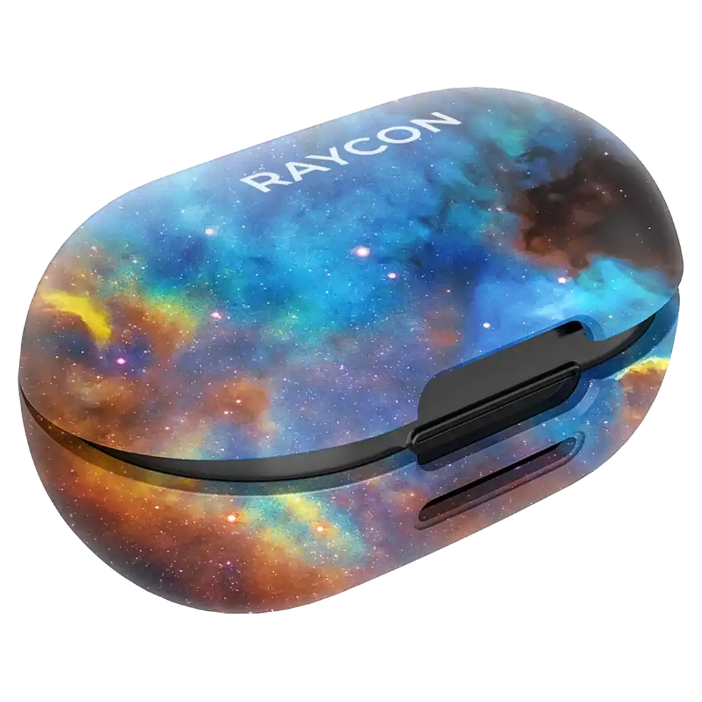 rayconaudious.it.com