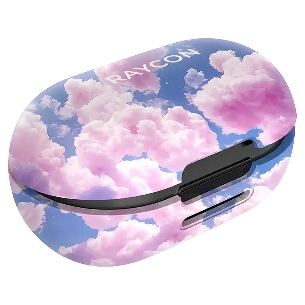 rayconaudious.it.com