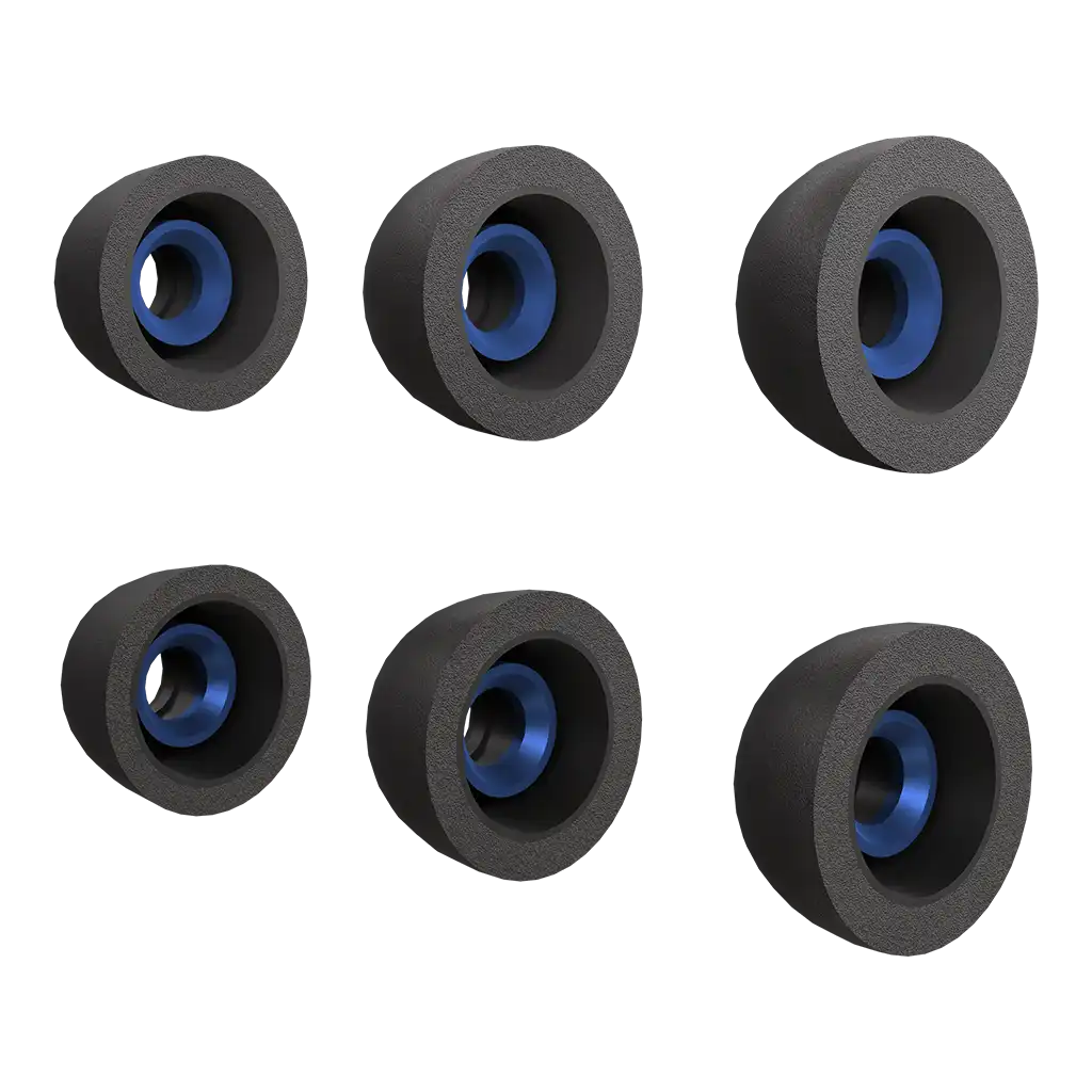 rayconaudious.it.com