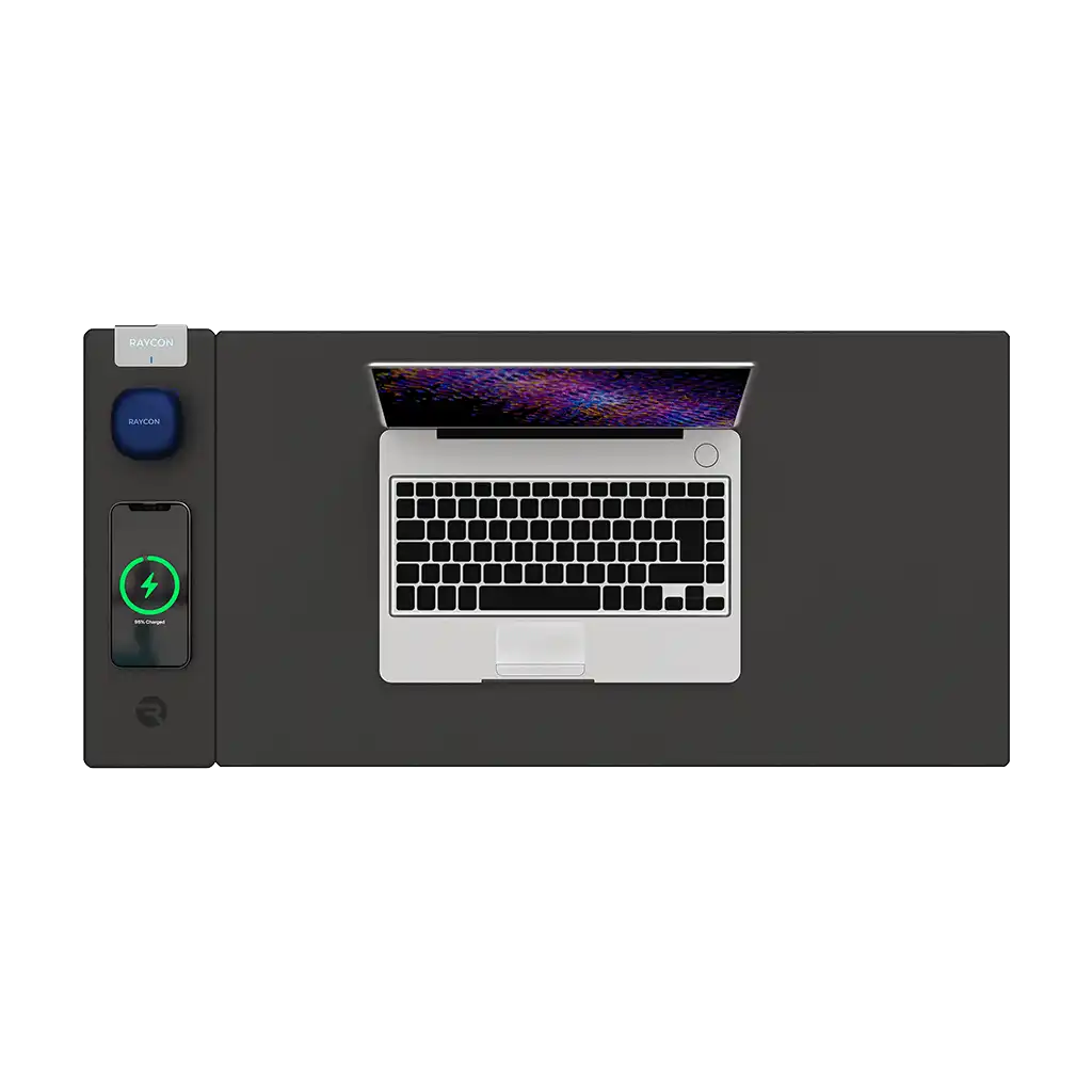rayconaudious.it.com