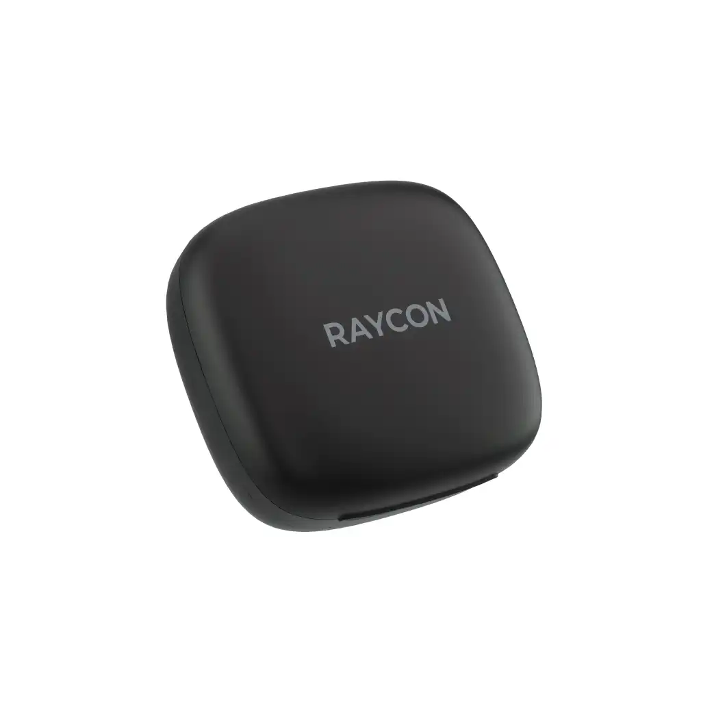 rayconaudious.it.com