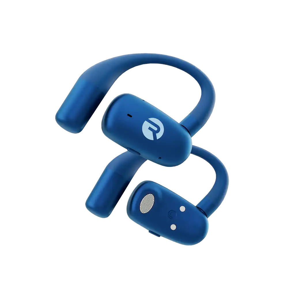 rayconaudious.it.com