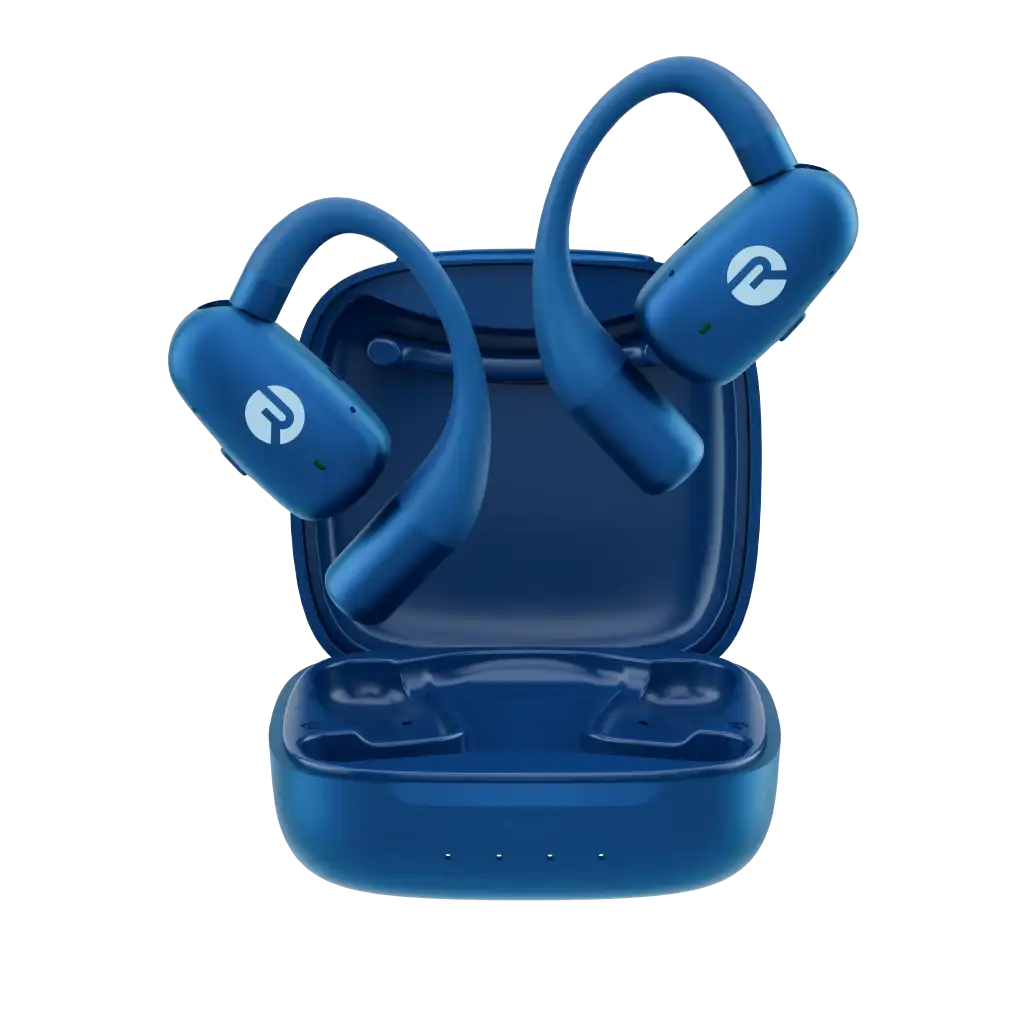 rayconaudious.it.com