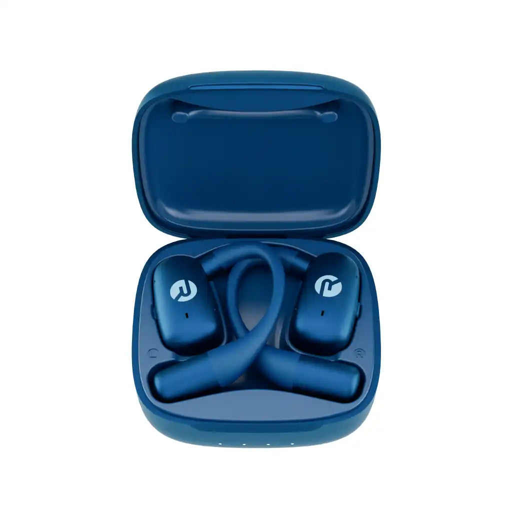 rayconaudious.it.com