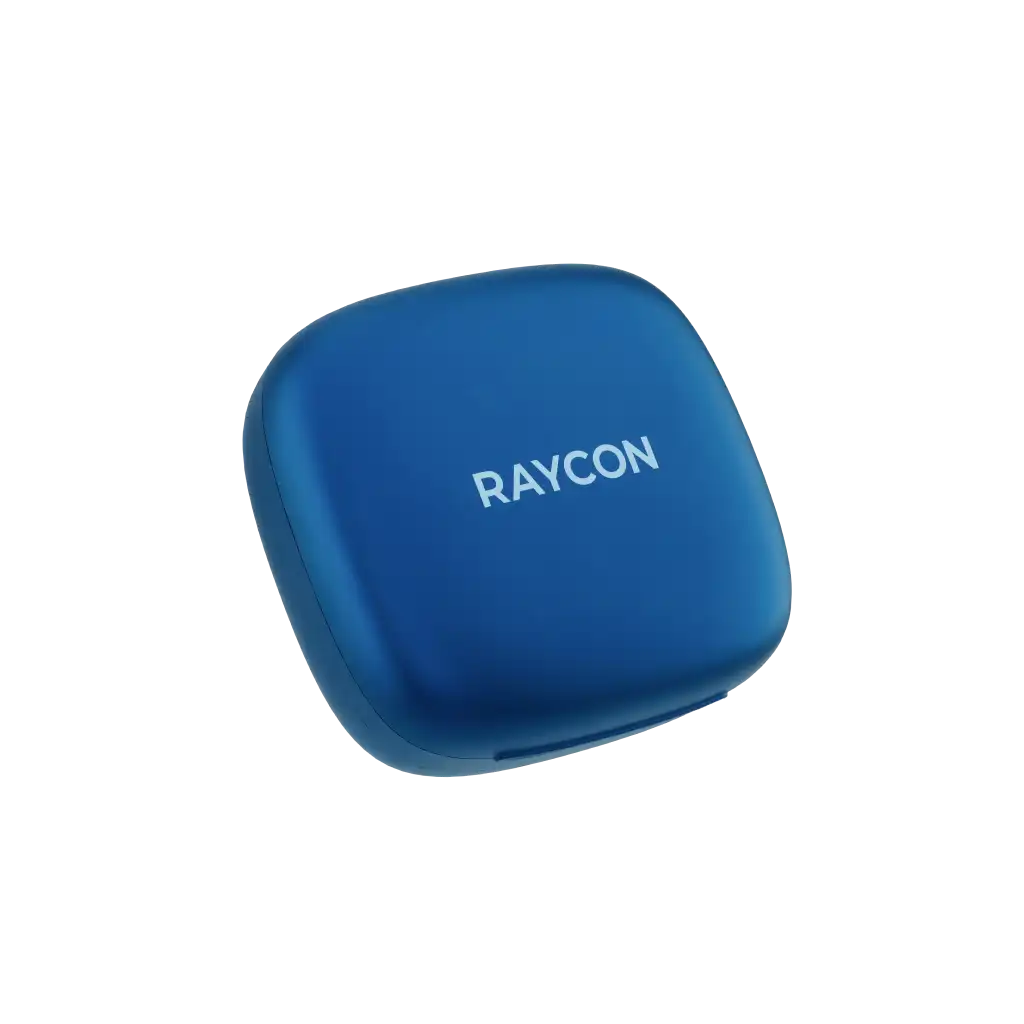 rayconaudious.it.com