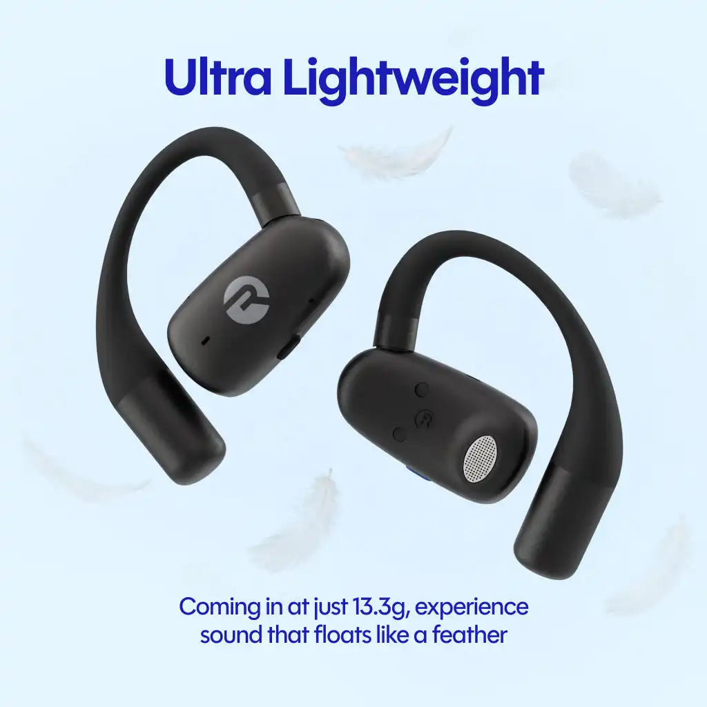 rayconaudious.it.com
