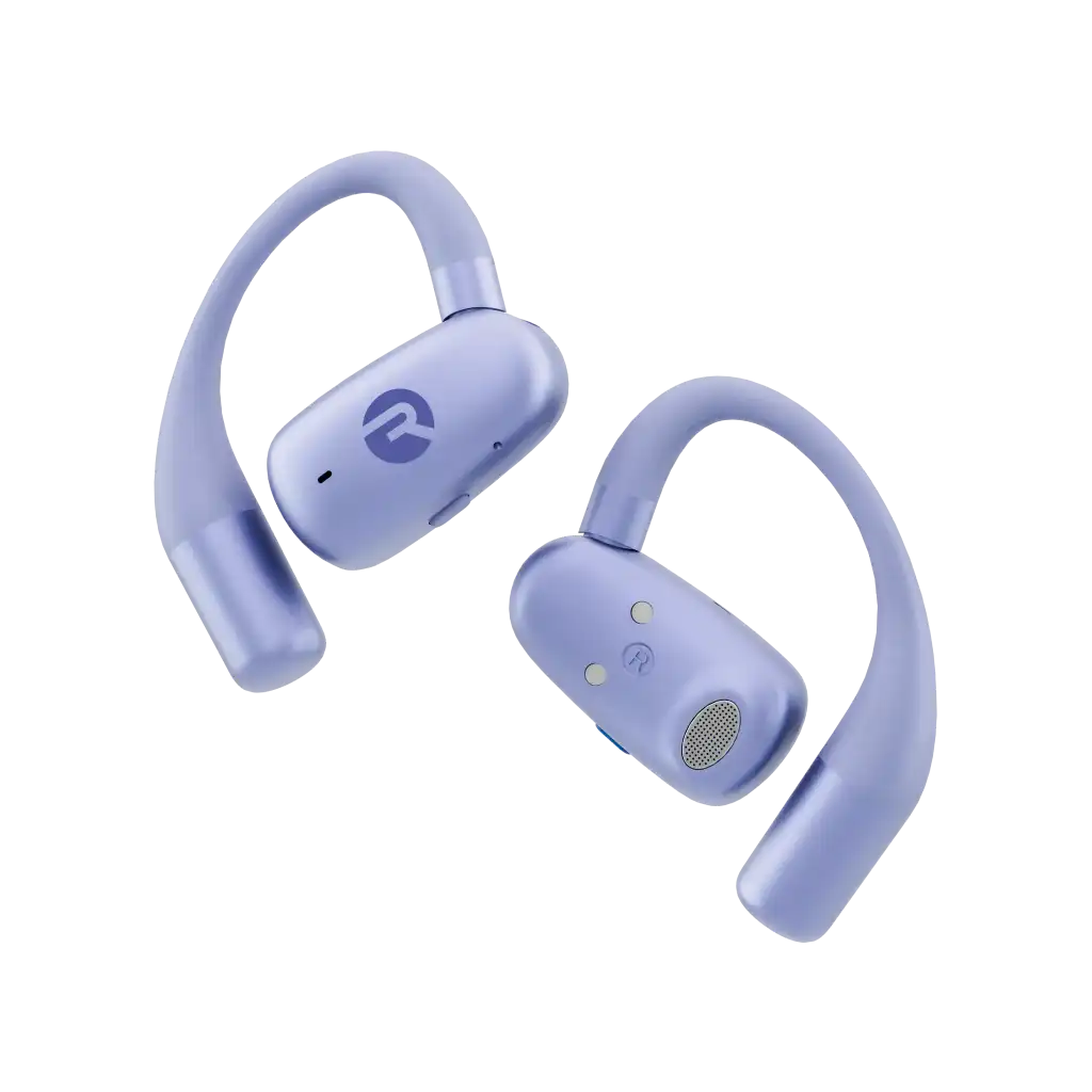 rayconaudious.it.com