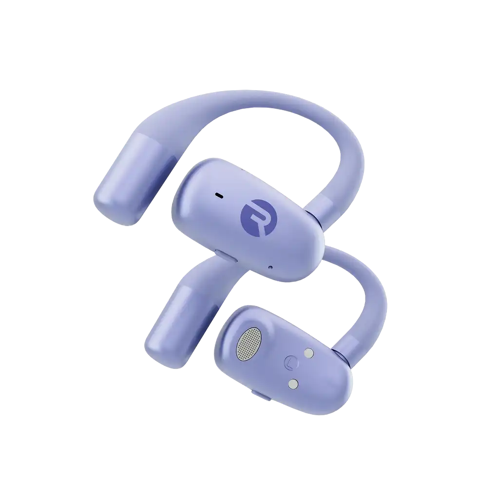 rayconaudious.it.com