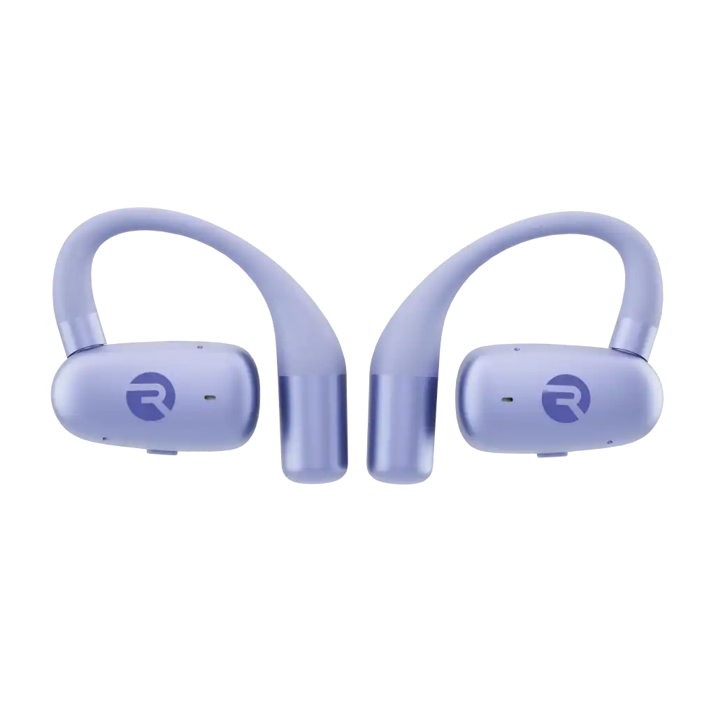 rayconaudious.it.com