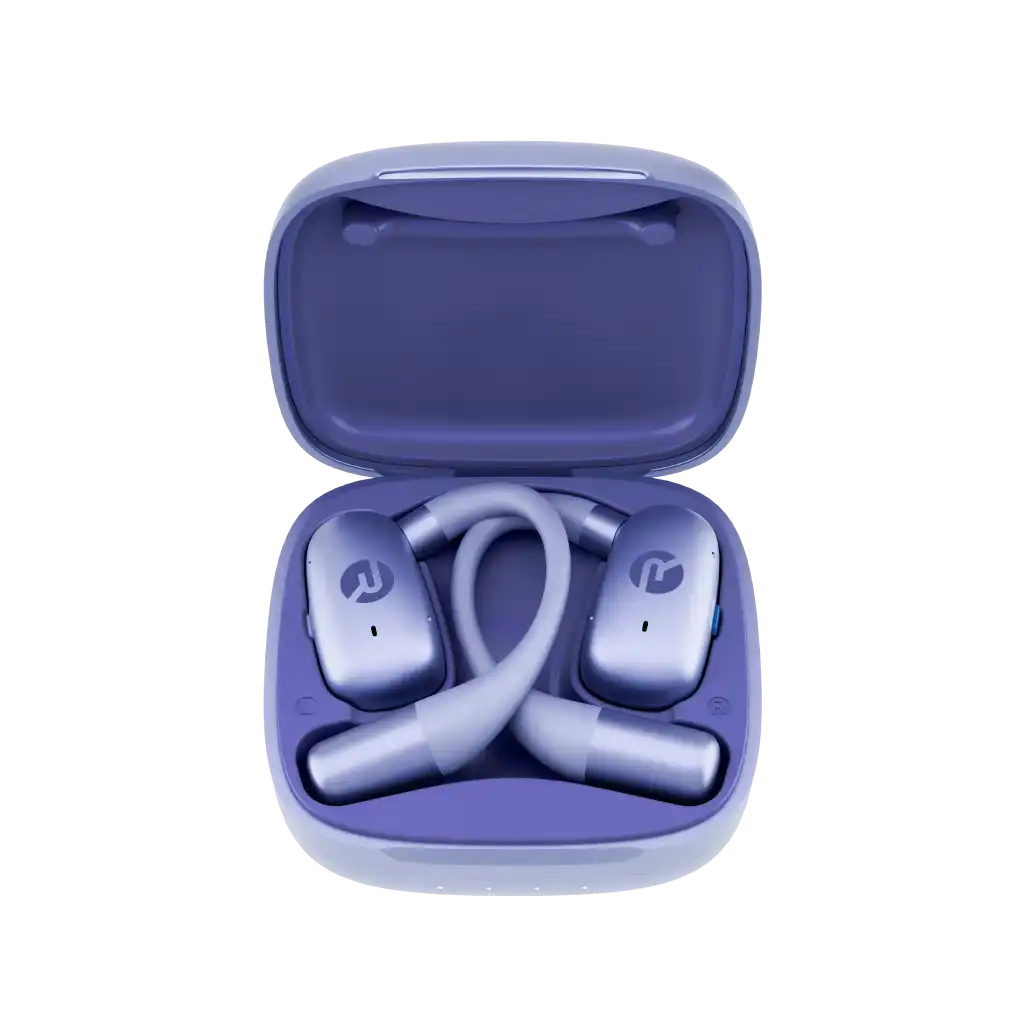 rayconaudious.it.com