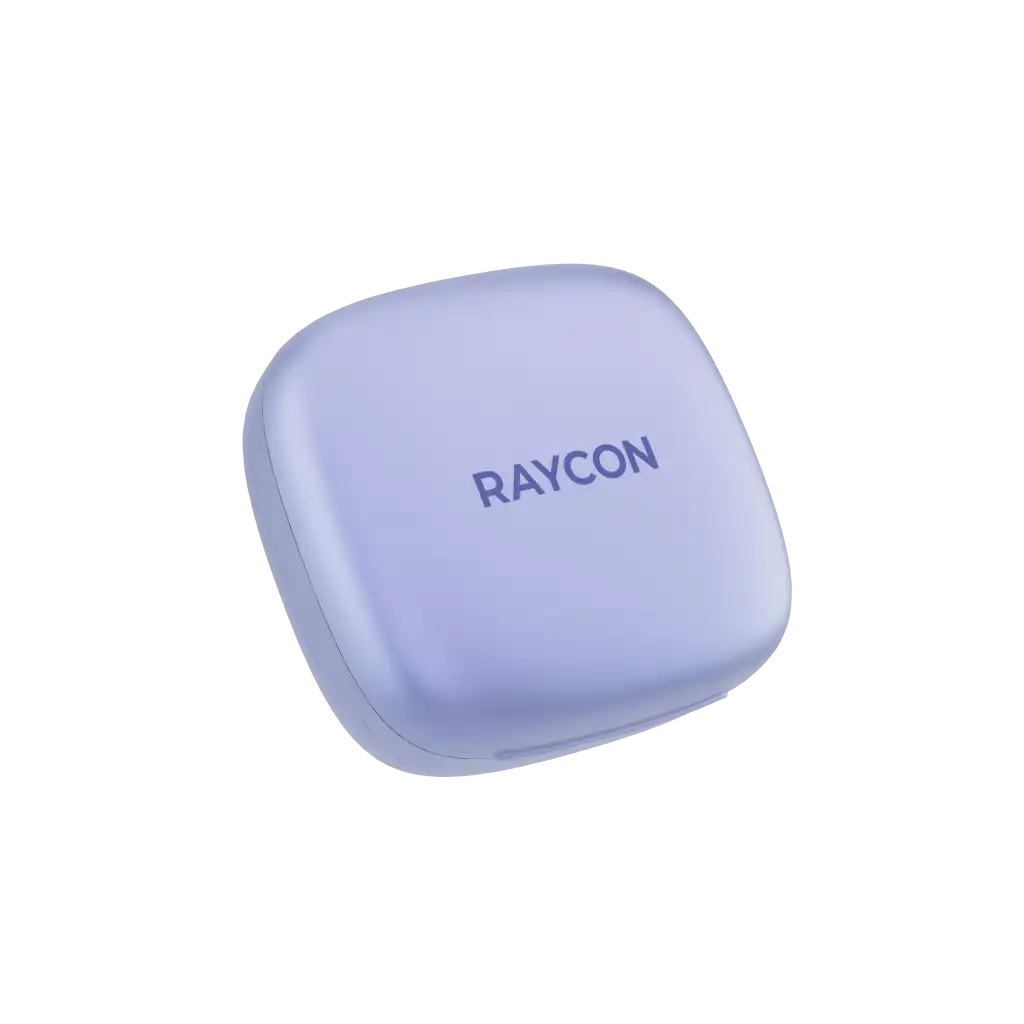 rayconaudious.it.com