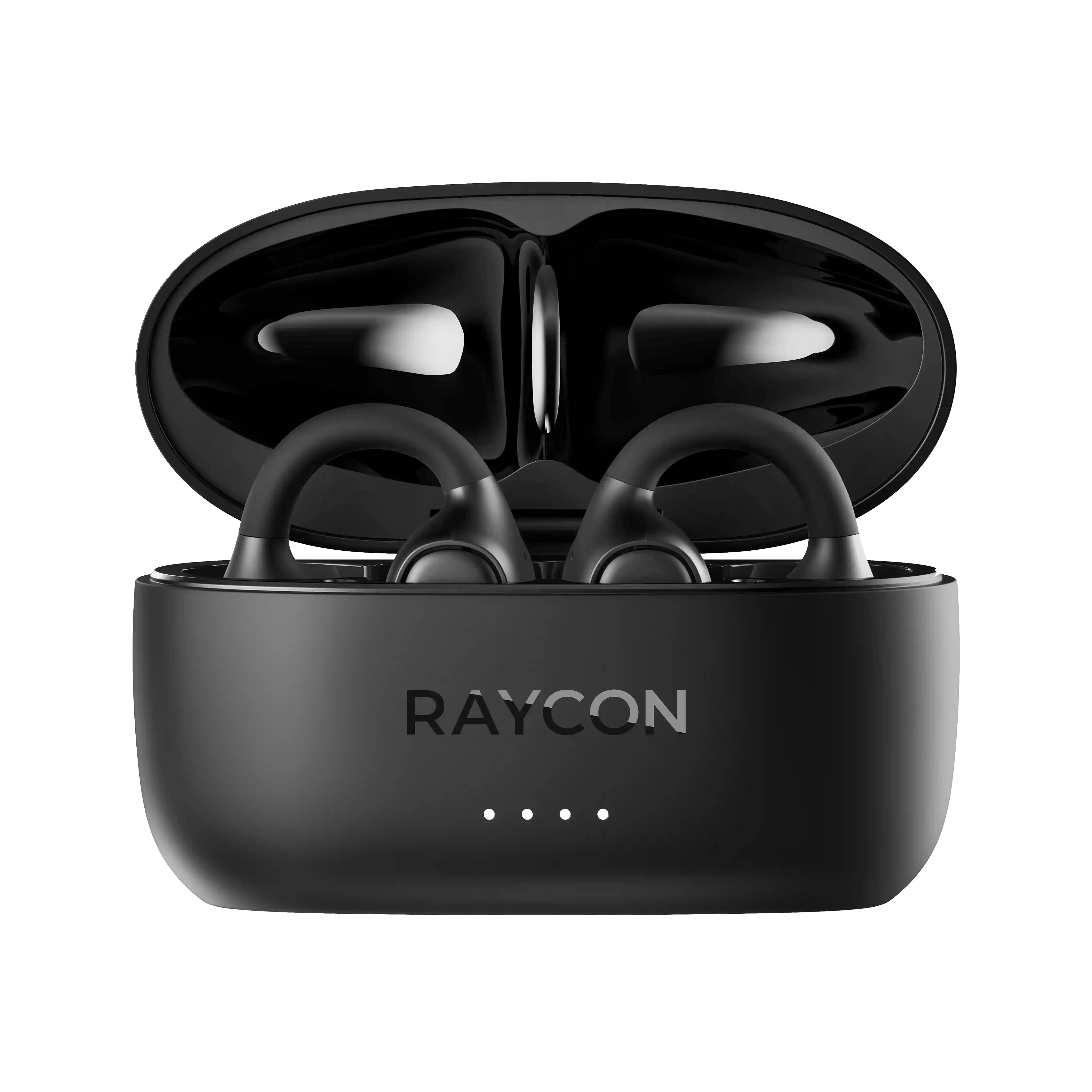 rayconaudious.it.com