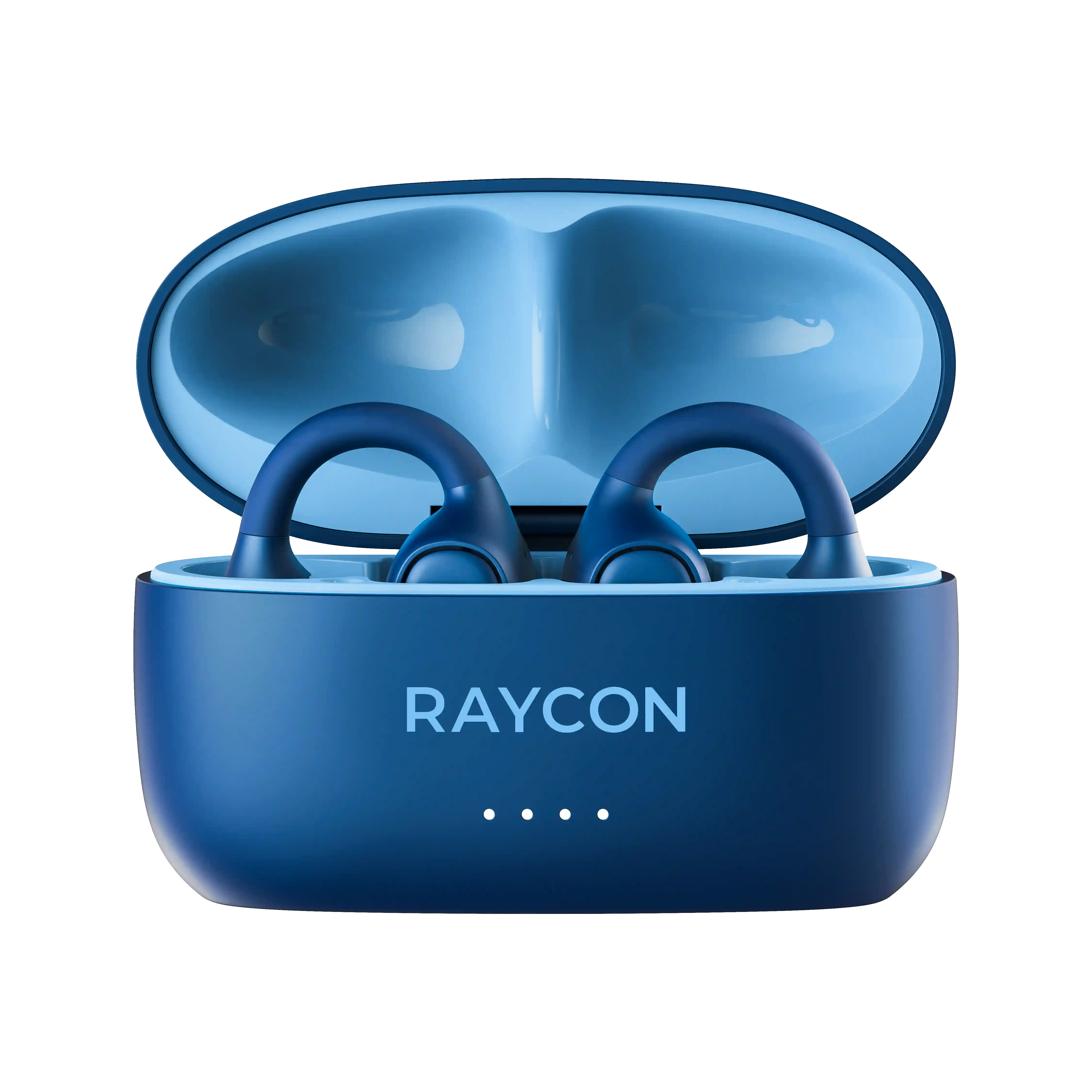 rayconaudious.it.com