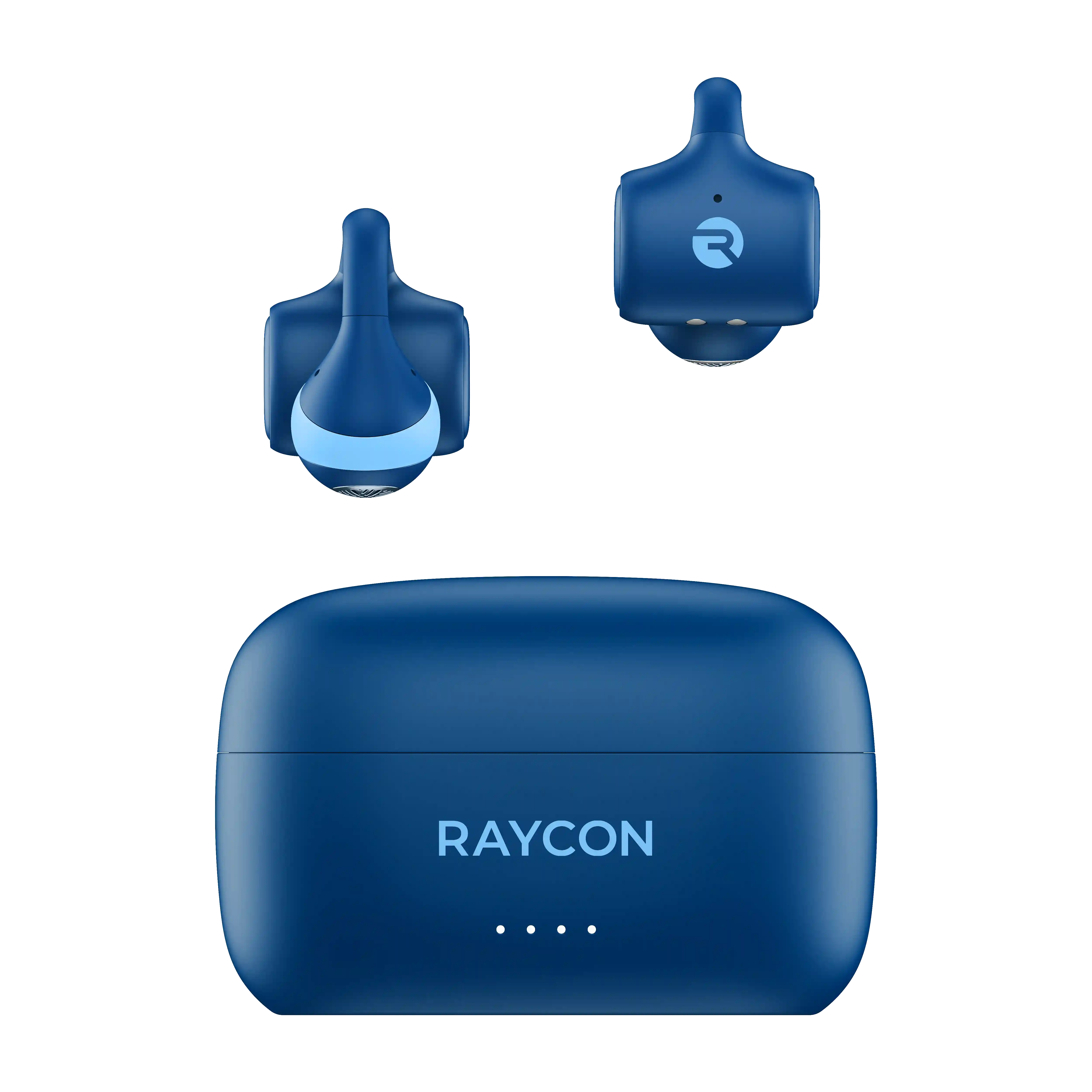 rayconaudious.it.com