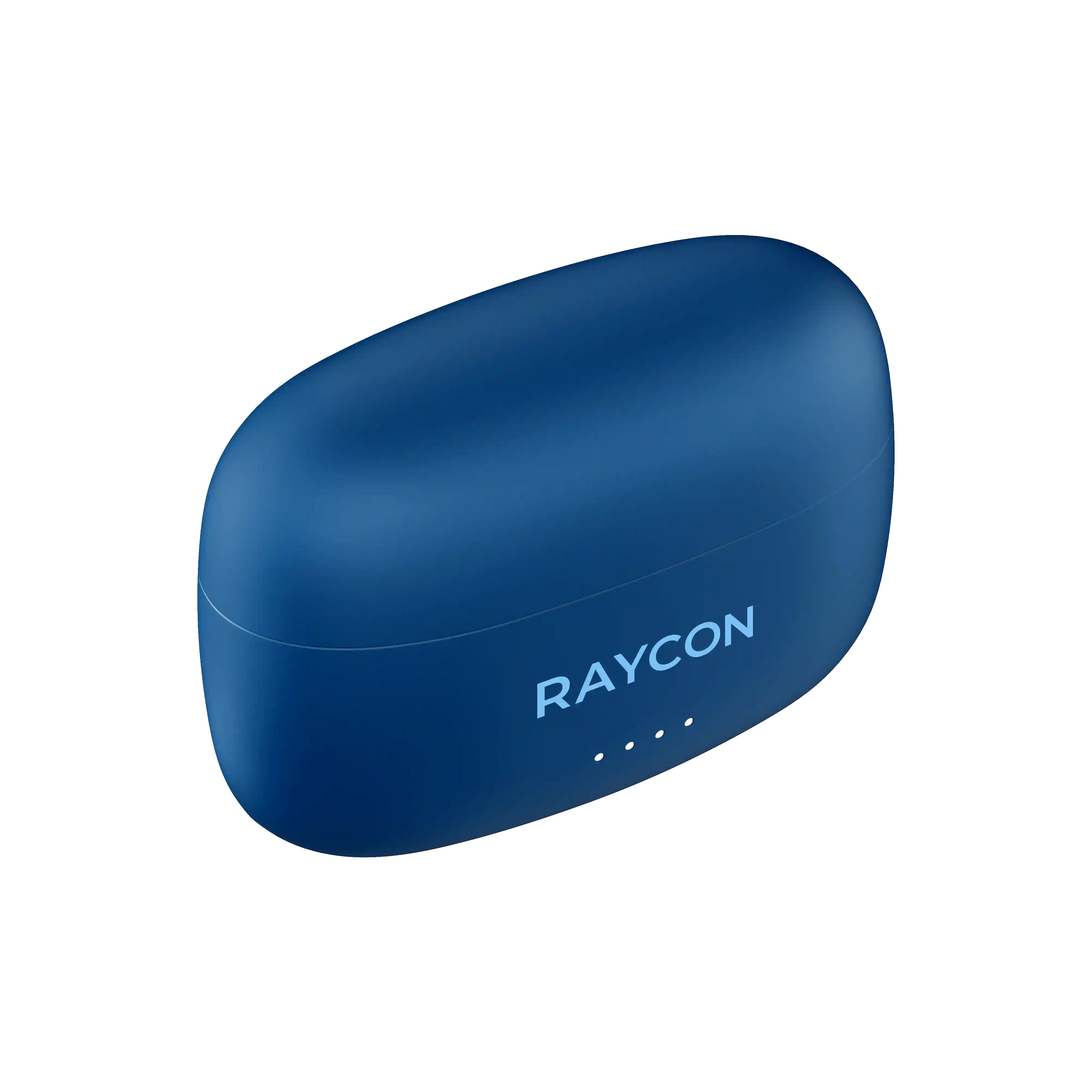 rayconaudious.it.com