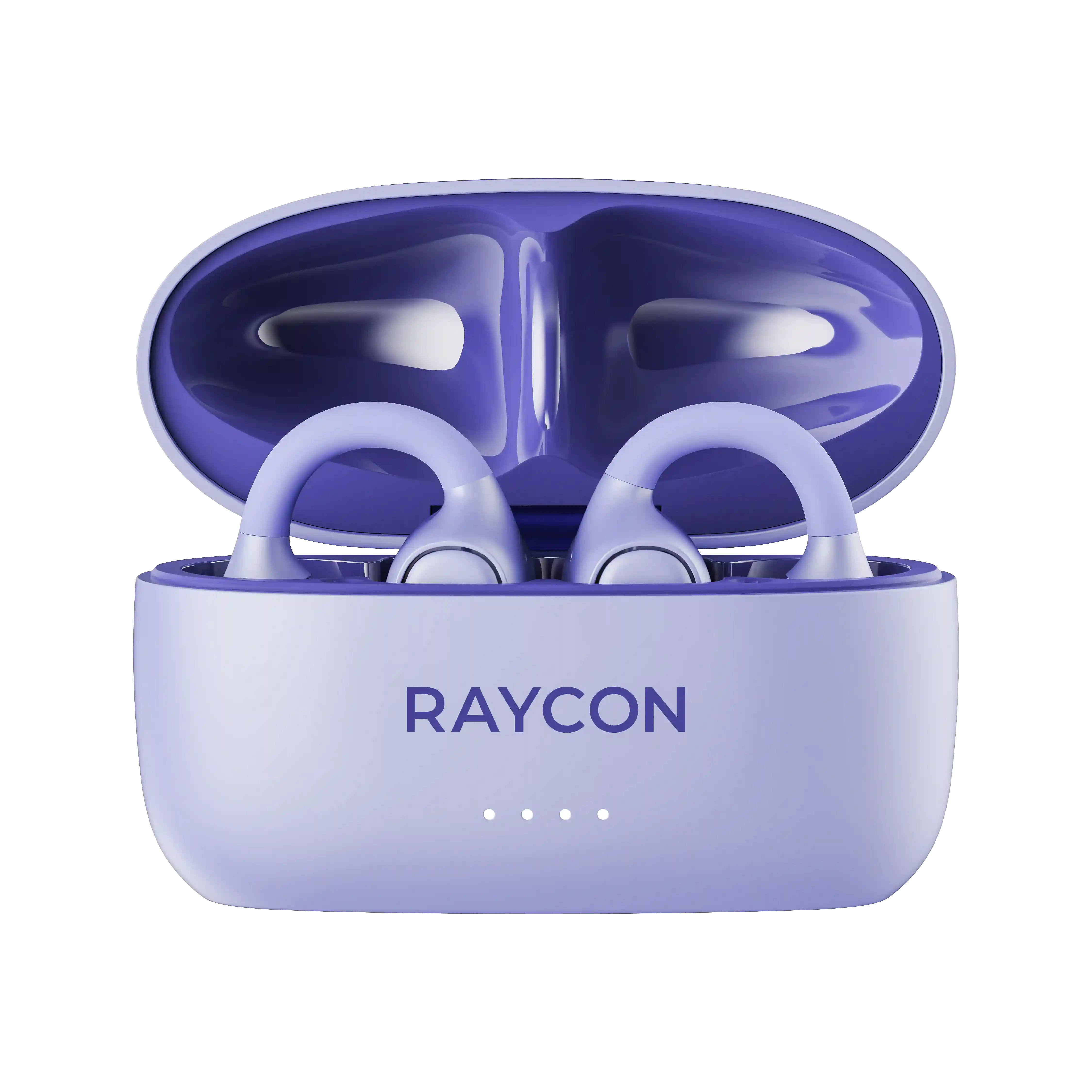 rayconaudious.it.com