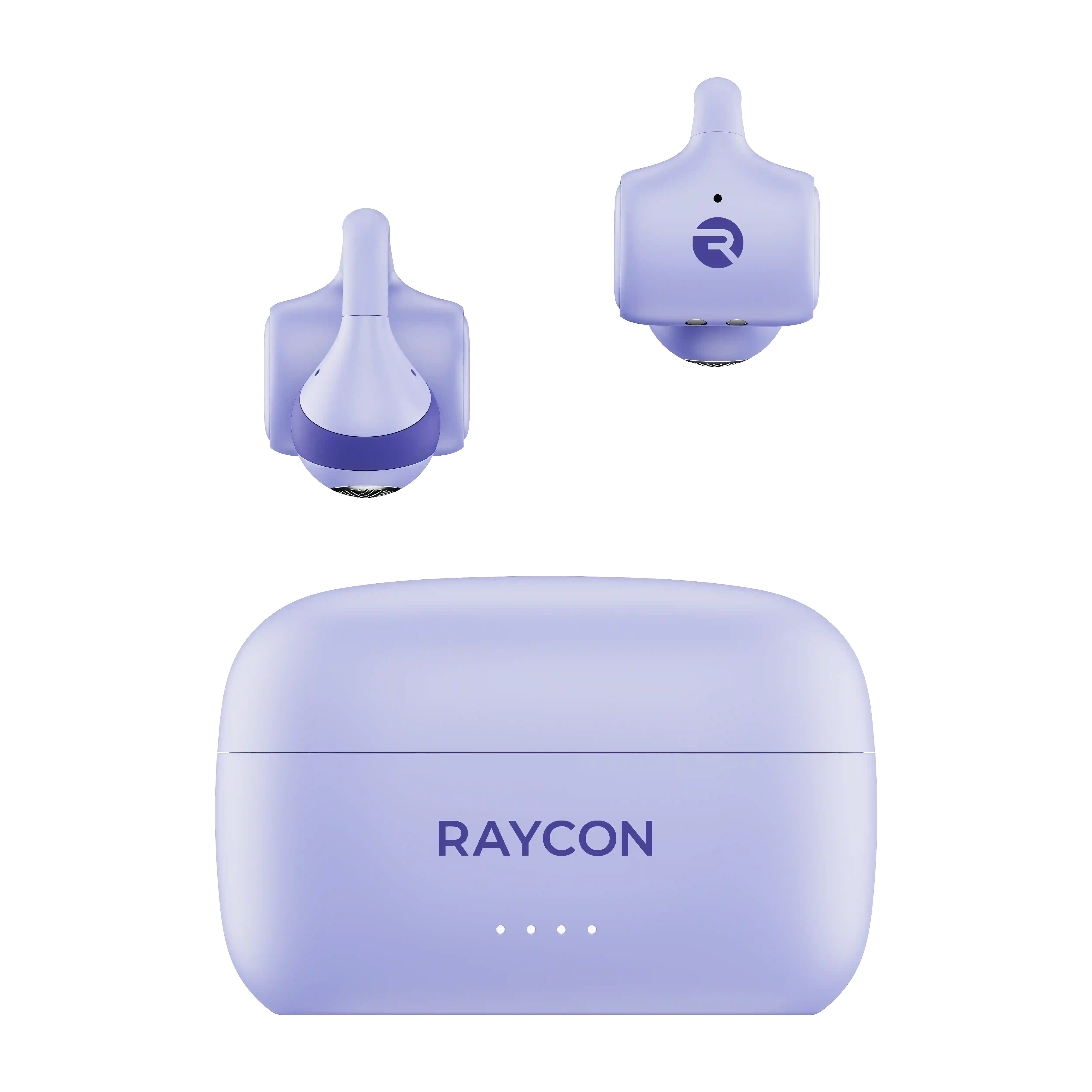 rayconaudious.it.com