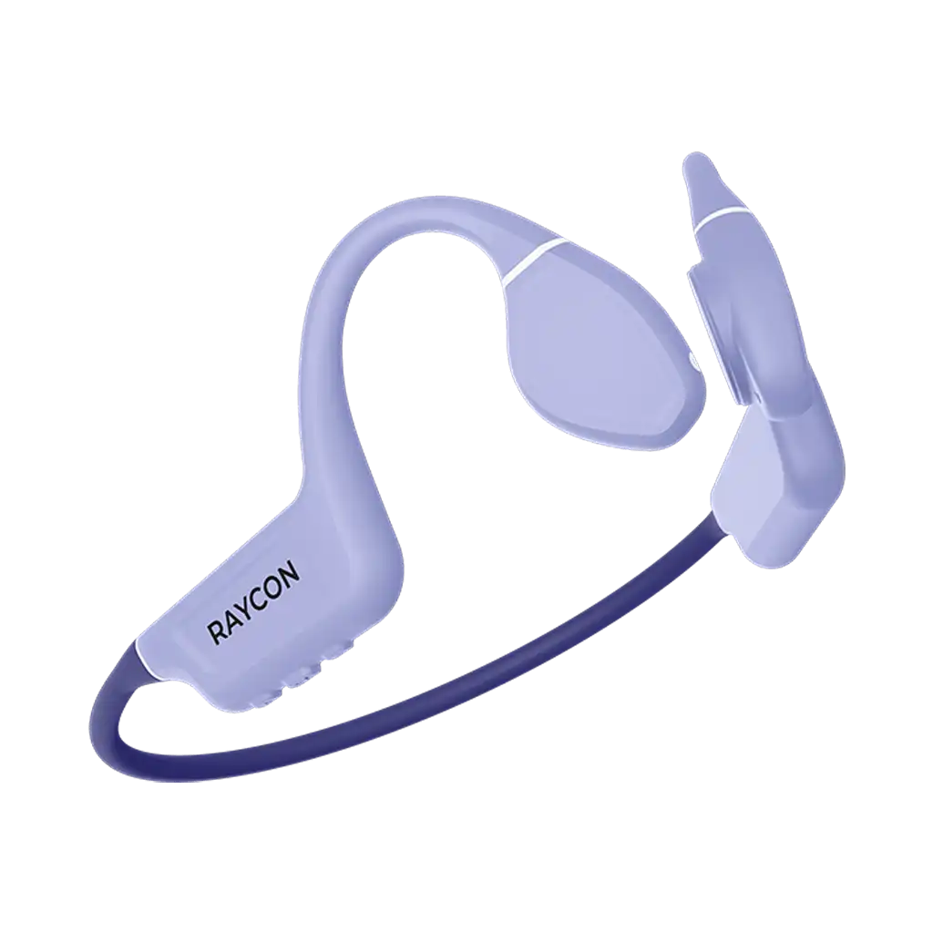 rayconaudious.it.com