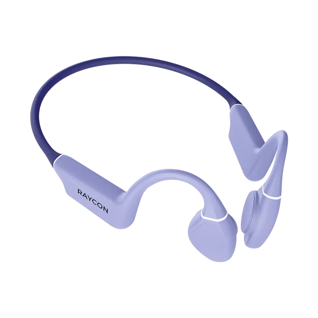 rayconaudious.it.com