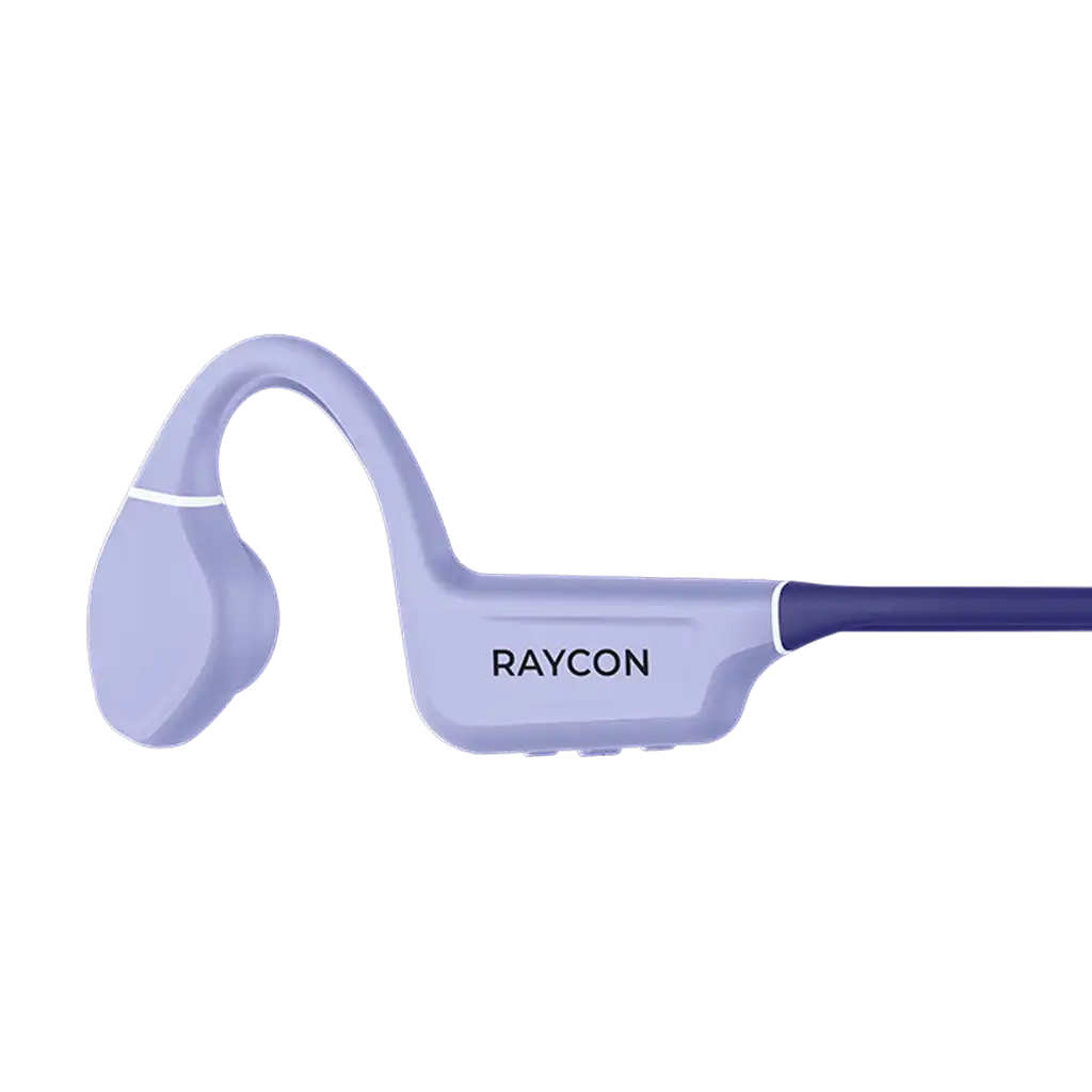 rayconaudious.it.com