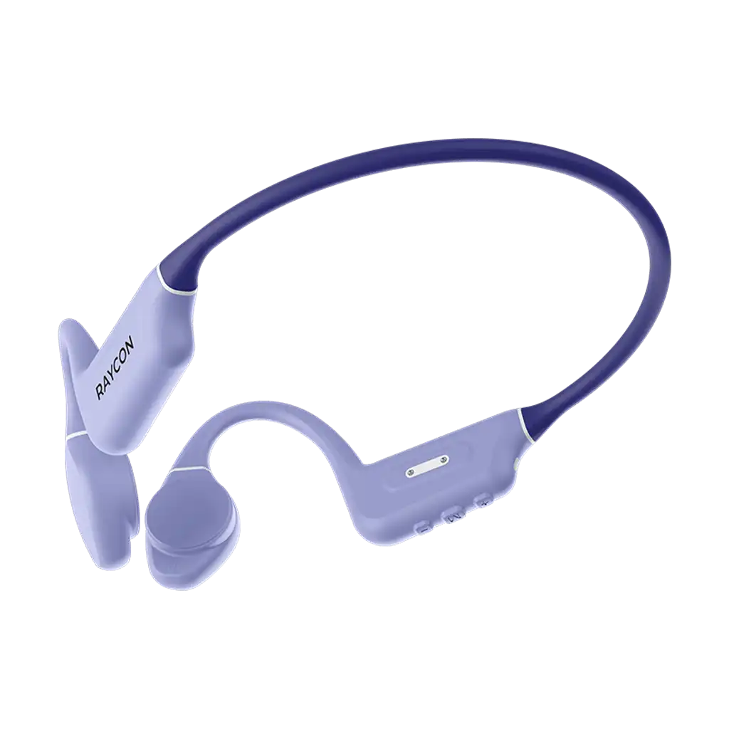 rayconaudious.it.com