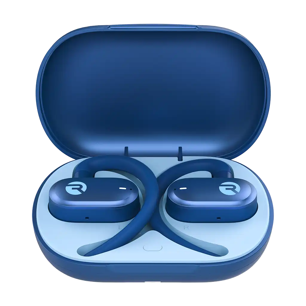 rayconaudious.it.com