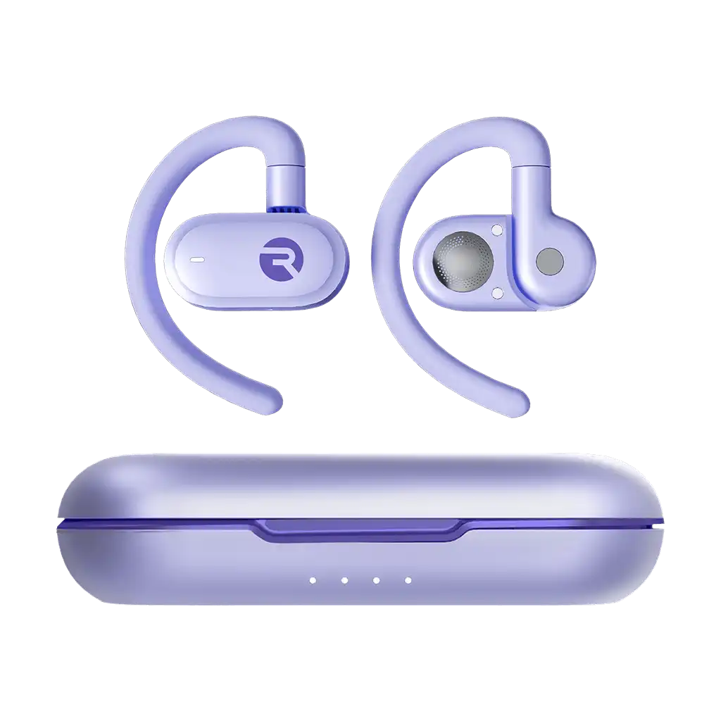 rayconaudious.it.com