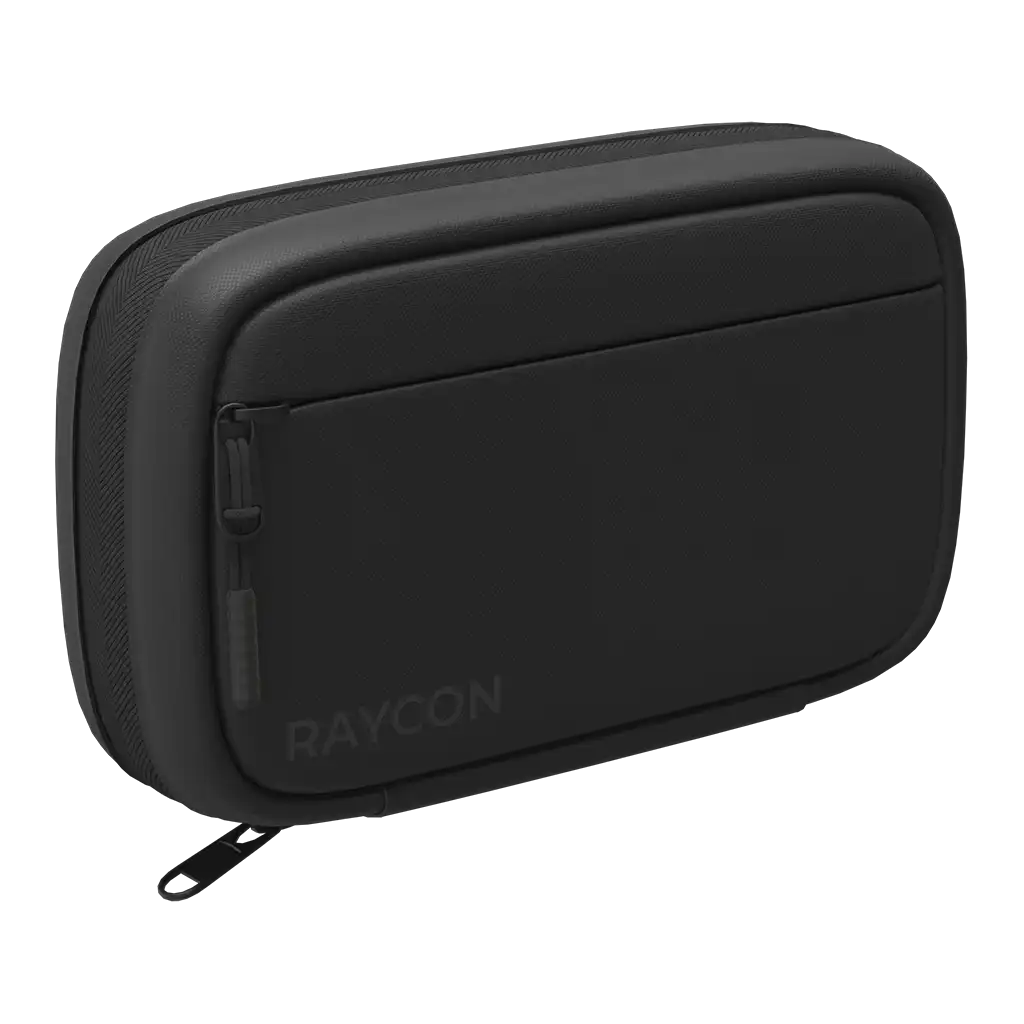 rayconaudious.it.com
