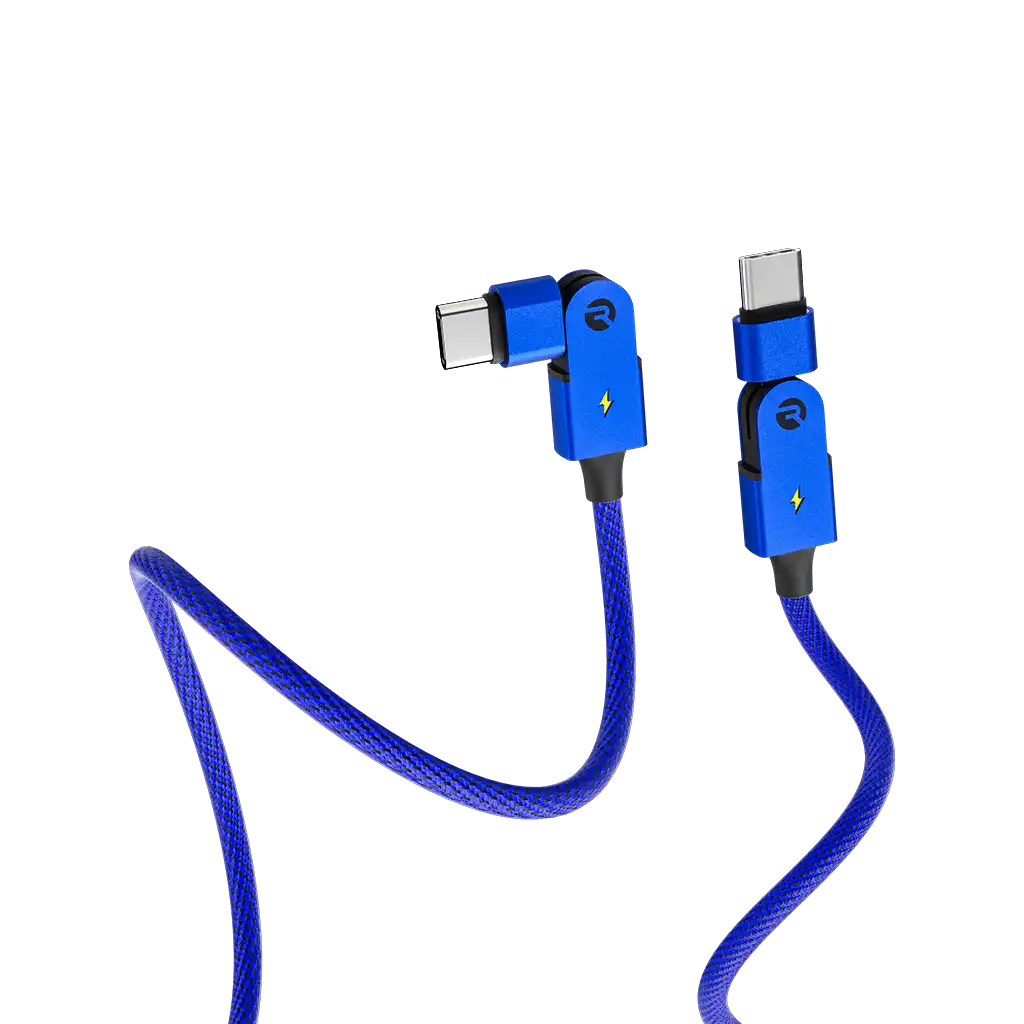 rayconaudious.it.com