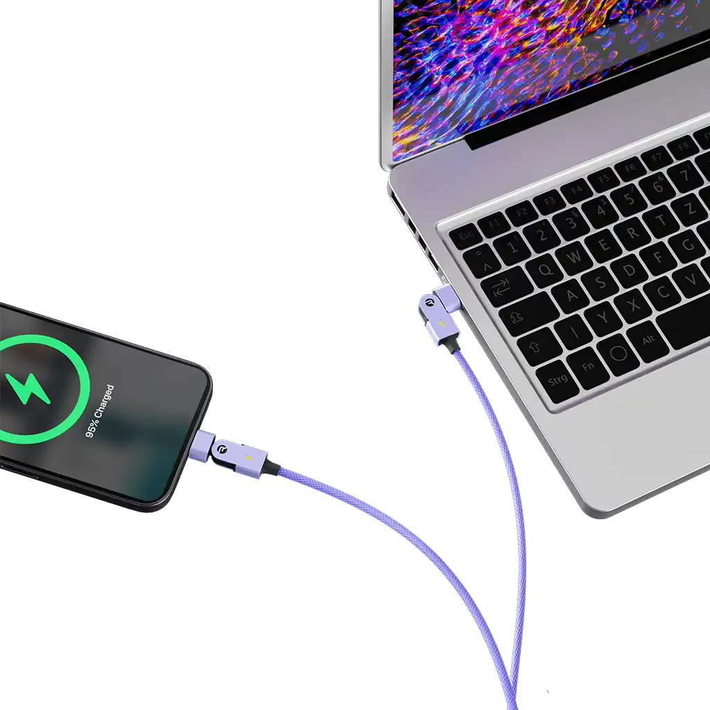 rayconaudious.it.com