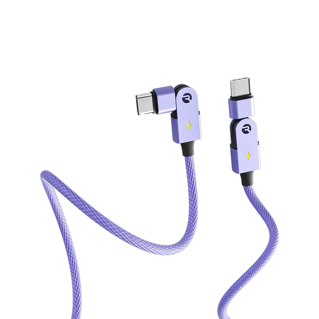 rayconaudious.it.com