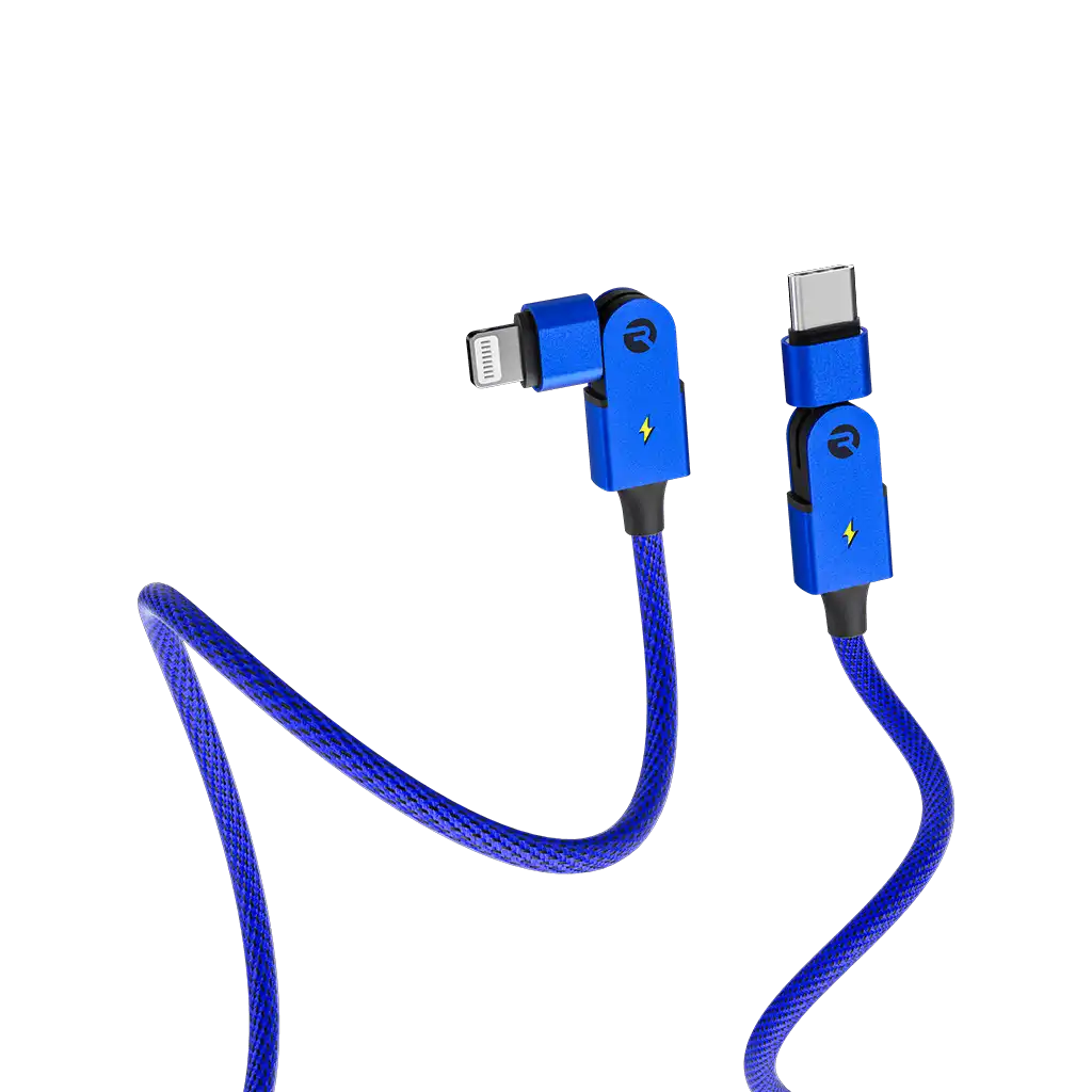 rayconaudious.it.com