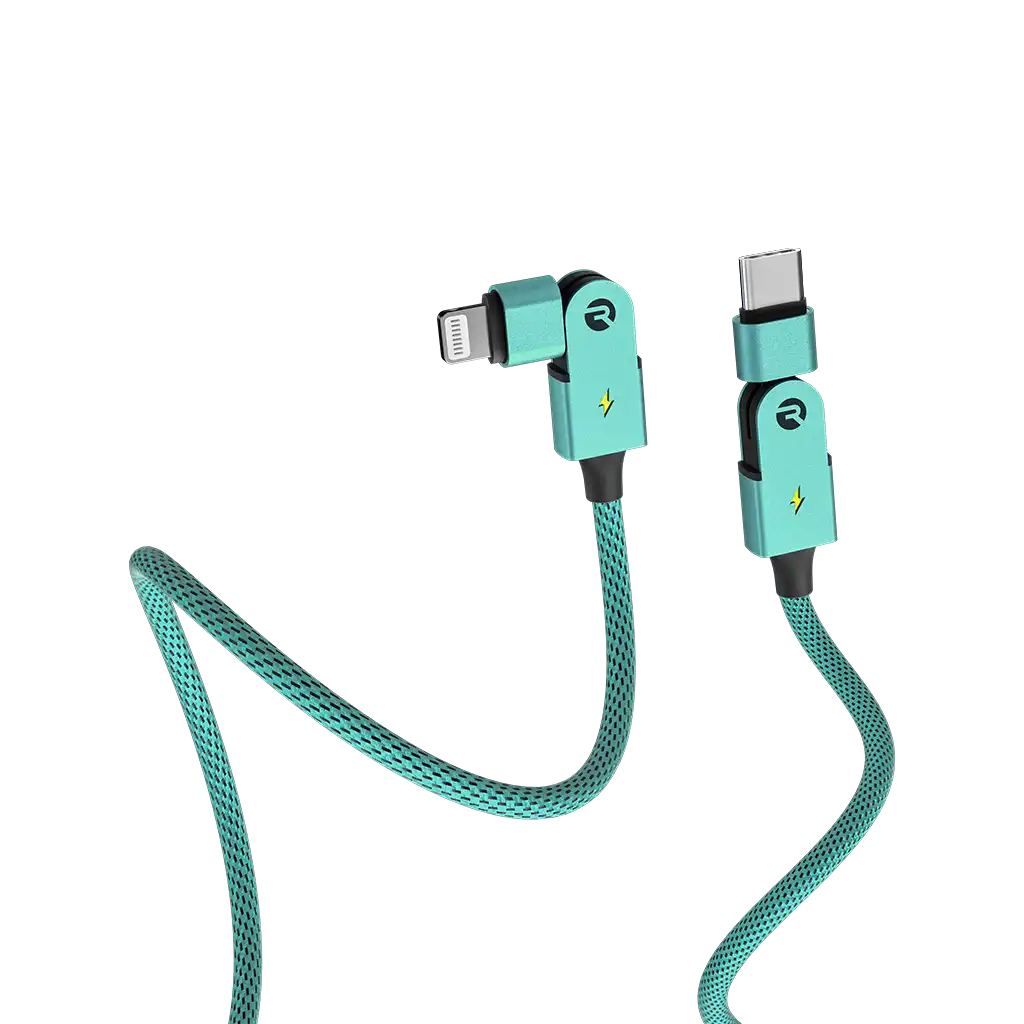 rayconaudious.it.com
