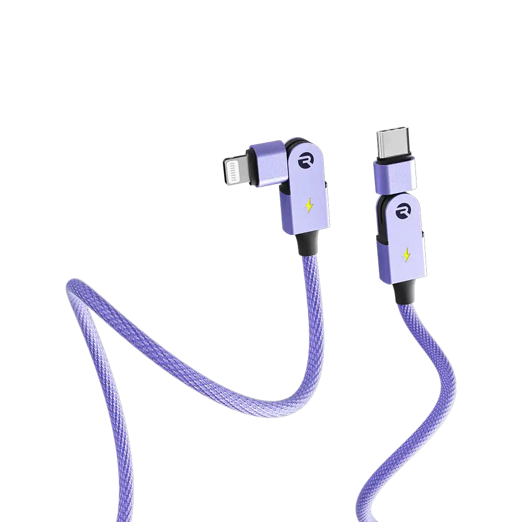 rayconaudious.it.com