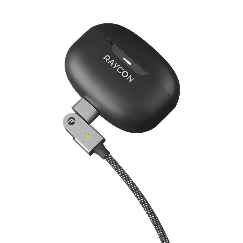 rayconaudious.it.com