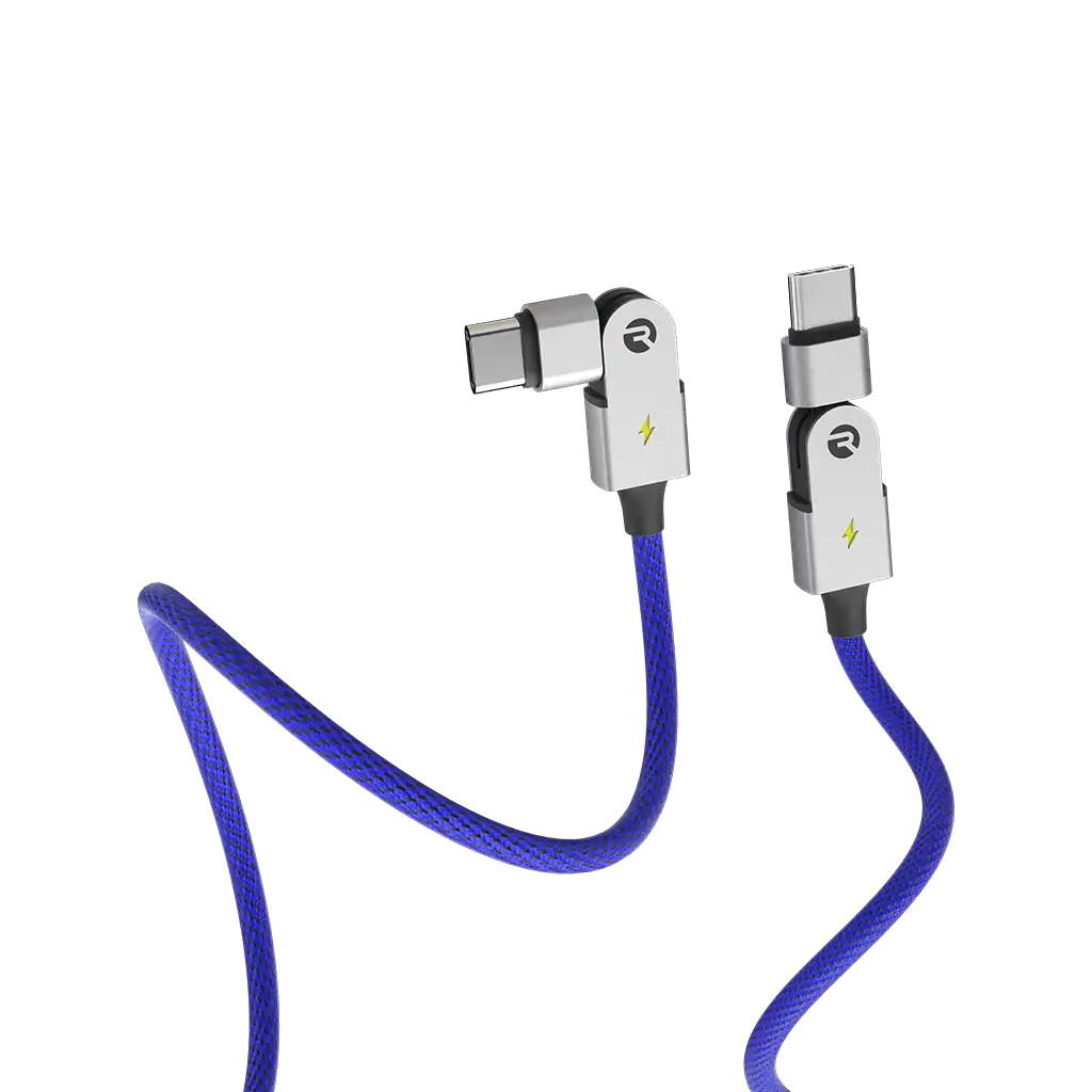 rayconaudious.it.com