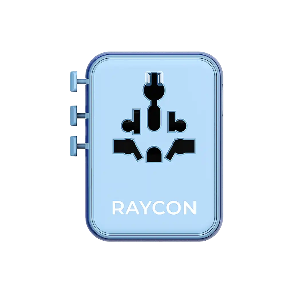 rayconaudious.it.com